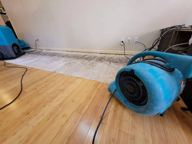 Professional Emergency Water Damage technician working in Lake Mills, IA